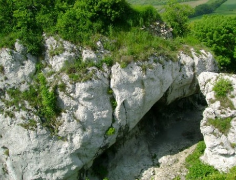 Pálava